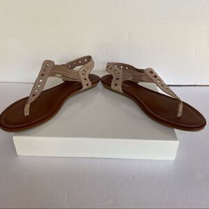 Massini Thong Sandals 